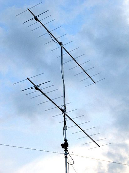 Click to see next picture