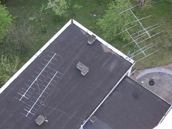 Click to see next picture