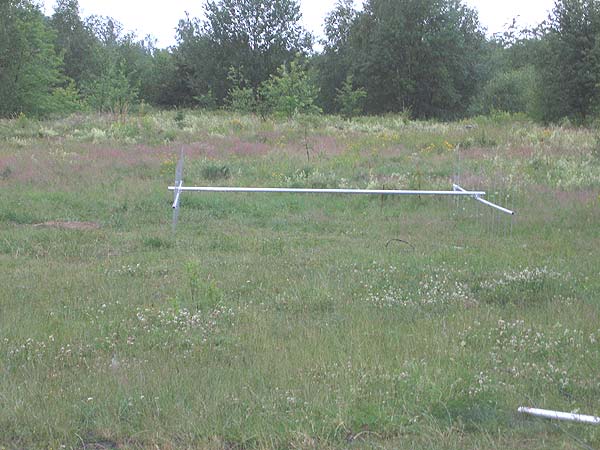 Click to see next picture