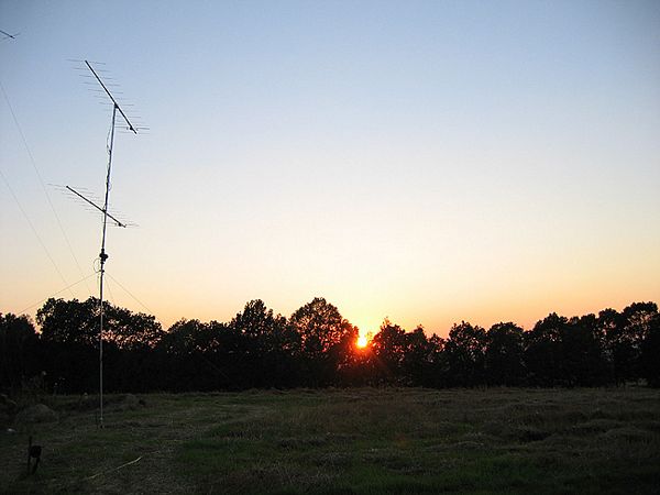 Click to see next picture