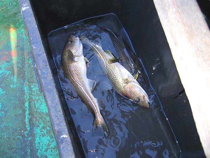 Click to see next picture